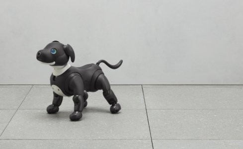 Sony releases 2023 Espresso Black Limited Edition Aibo ERS-1000