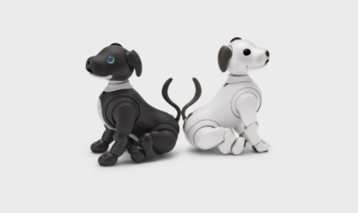 Sony releases 2023 Espresso Black Limited Edition Aibo ERS-1000