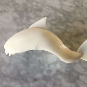 Loona 3D Printed shark hat