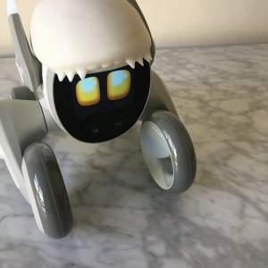 Loona Petbot robot 3D printed shark hat