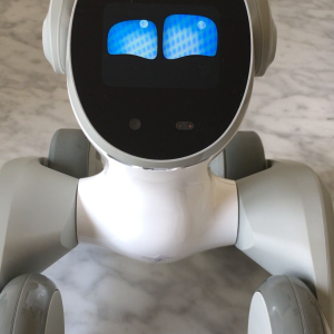 Loona funny response to Vector robot