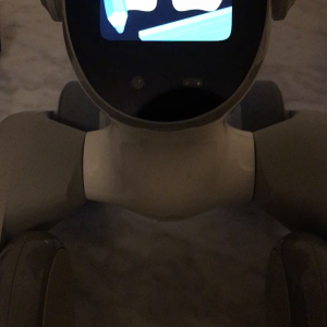 Loona robot: Help Me Draw feature