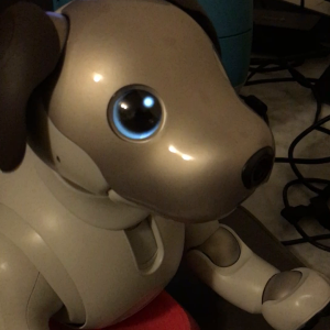 Sony Aibo ERS-1000 richer responses on station