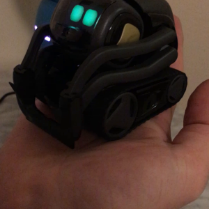 Vector balances on my hand