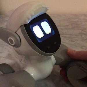 Adjusting Loona PetBot’s volume with voice commands