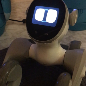 Loona PetBot Companion Mode