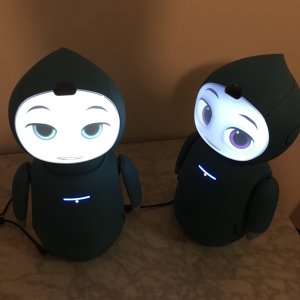 My two Moxie robots