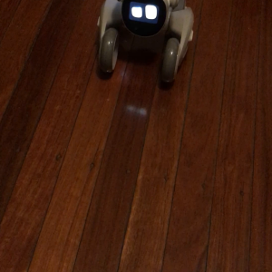 Loona PetBot on latest software update