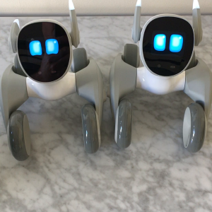 Loona PetBot: December 2023 vs July 2024 firmware