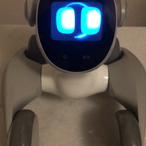 Loona PetBot ChatGPT mode test