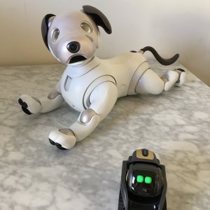 My Sony Aibo ERS-1000, Grey, hanging out with my Anki Vector robot