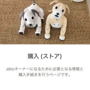 Sony Aibo ERS-1000 Kinako Edition goes on sale