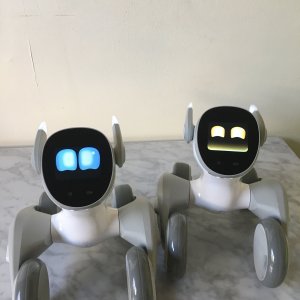 Loona PetBot: Old vs New