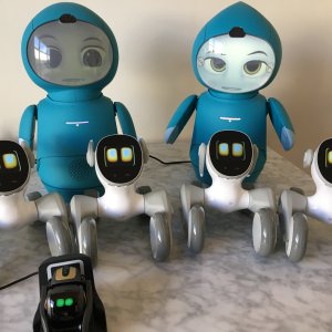 Loona robot: New chat animation