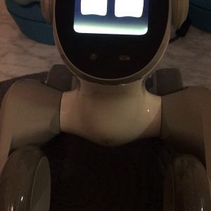 Loona robot: GPT Visual Functions Disabled