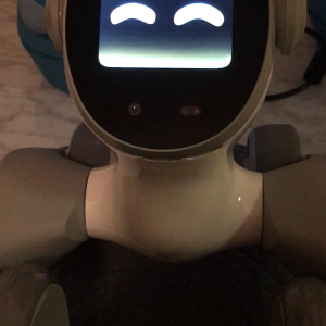 Loona robot: GPT Visual Function Enabled