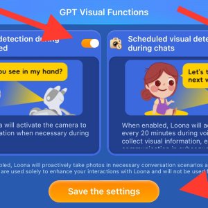 Adjusting GPT Visual Functions in the Hello Loona app