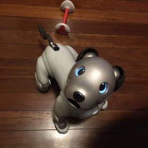 Sony Aibo ERS-1000