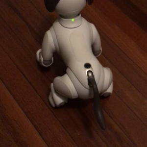 Sony Aibo ERS-1000 comes over for a pat