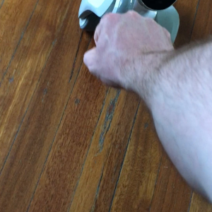 Interacting with Loona PetBot offline: Gesture commands