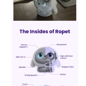 Ropet robot mechanics