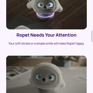 Ropet robot