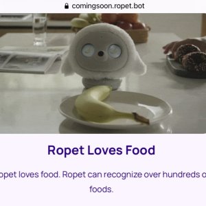 Ropet recognising food.