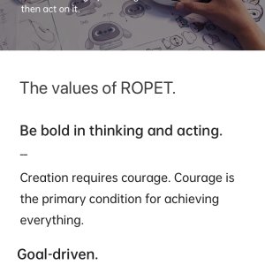 Ropet website launch