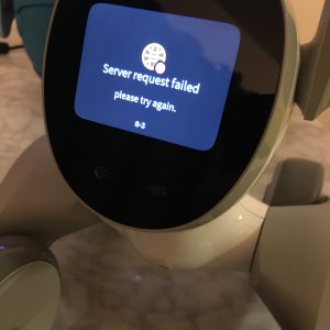 Loona robot giving Server request failed please try again. 8-3 when trying to access ChatGPT