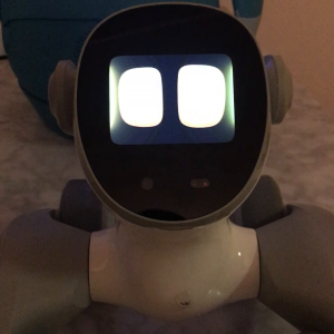 Loona robot unable to connect to ChatGPT