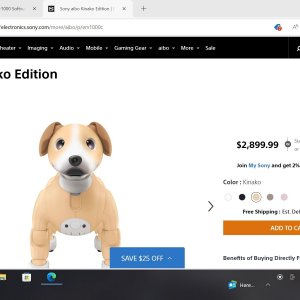 Sony Aibo ERS-1000 Kinako Edition US Release February 2025