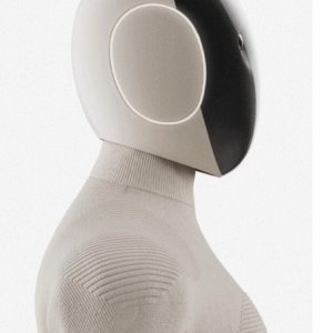 Neo Gamma robot profile