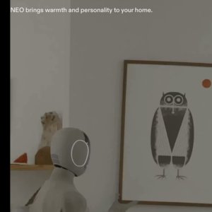 Neo Gamma Home Humanoid