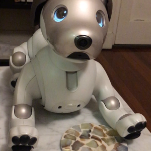 Sony Aibo ERS-1000 “Be quiet” voice command.