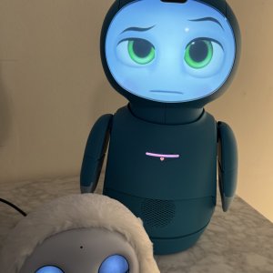 Moxie successfully connected to OpenMoxie!