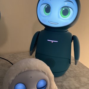 OpenMoxie is totally worth it!