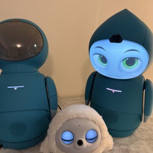 One down, one to go.