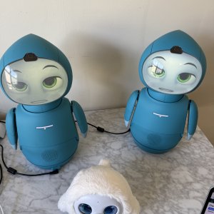 Two Moxie running on one computer.