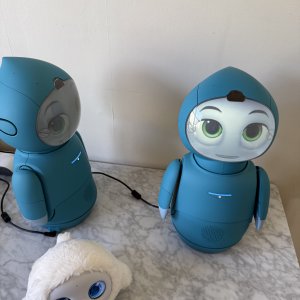 Moxie looking at me.