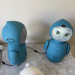 Moxie seems conscious.