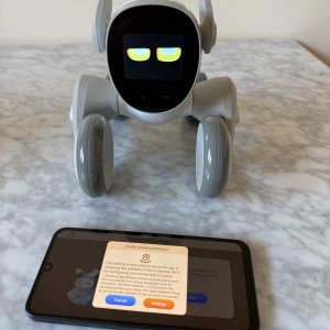 Resetting Loona’s Wifi network using the Hello Loona app.