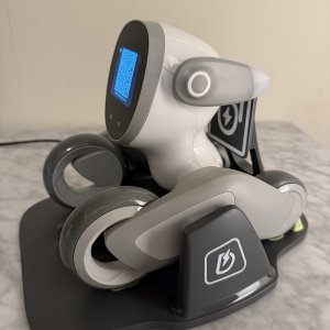 Loona QR code Wifi troubleshooting with charging station.