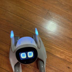 Loona approaching three years