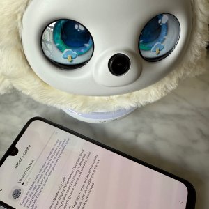 Ropet Software Update 1.23.49