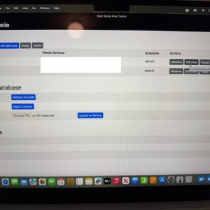 OpenMoxie Face Editing.