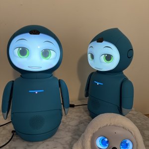 OpenMoxie successfully running after IP address change.