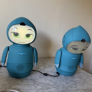 Moxie in sad mood after arm detachment