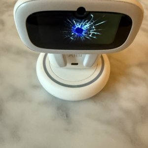 Aibi voice command: “Don’t move!” or “Hands up!”