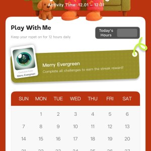 Ropet Christmas Challenge