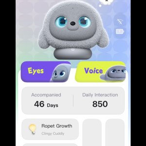 Ropet Christmas Challenge on Home Screen